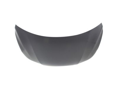 Honda 60100-T2F-A90ZZ Hood Complete (Dot)