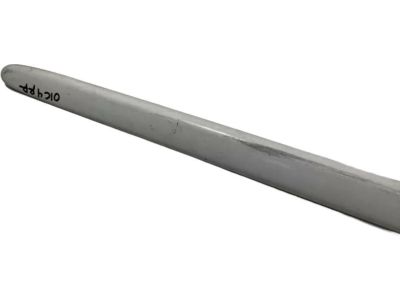 Honda 75303-S5A-G01ZD Protector, R. RR. Door *NH578* (TAFFETA WHITE)