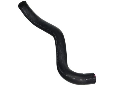 Acura 19506-RX0-A01 Hose, Water (Lower)