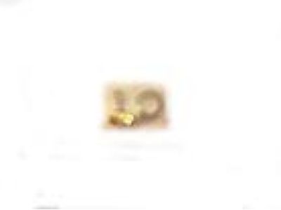 Honda 16011-PK1-005 Valve Set, Float