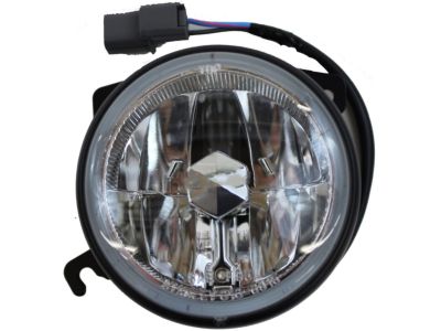 Honda 08V31-S9V-1M002 Foglight Assembly, Left Front