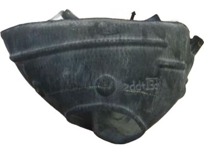 Honda 74150-TVA-A00 Fender Assembly, Left Front (Inner)