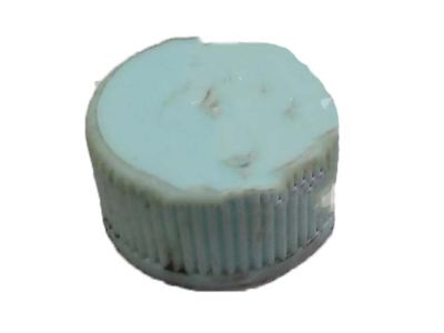 Honda 80865-ST0-003 Cap H, Valve (Nichirin)