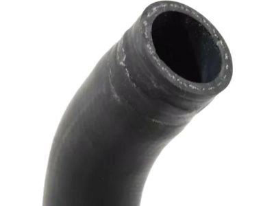 Honda 19502-5MR-A00 Hose, Water (Lower)