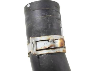 Honda 19502-5MR-A00 Hose, Water (Lower)