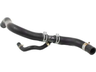 Honda 19502-5MR-A00 Hose, Water (Lower)