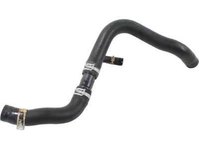 Honda 19502-5MR-A00 Hose, Water (Lower)