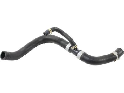 Honda 19502-5MR-A00 Hose, Water (Lower)