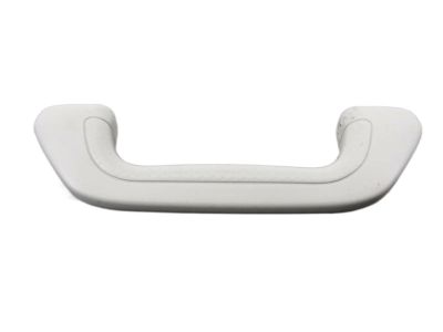 Acura 83240-SEA-003ZA Grab Rail Assembly (Clear Gray)