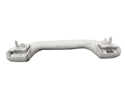 Acura 83240-SEA-003ZA Grab Rail Assembly (Clear Gray)