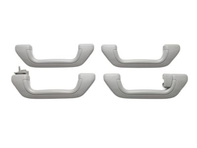 Acura 83240-SEA-003ZA Grab Rail Assembly (Clear Gray)