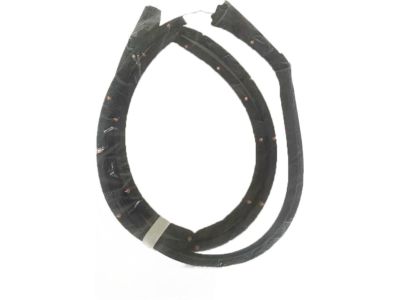Honda 72350-THR-A01 Weatherstrip, L. FR. Door