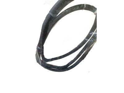 Honda 72350-THR-A01 Weatherstrip, L. FR. Door