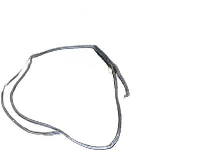 Honda 72850-TG7-A02 Weatherstrip L, RR Door