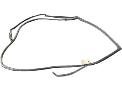 Honda 72850-TG7-A02 Weatherstrip L, RR Door