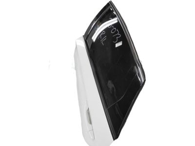 Honda 67550-TVA-325ZZ PANEL, L. RR. DOOR