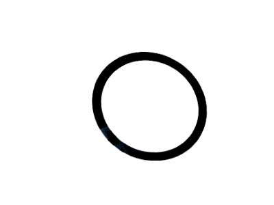 Acura 53417-SMG-E01 O-Ring, Rack Guide