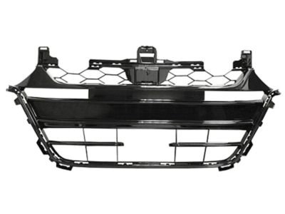 Honda 71111-TVA-A50 Grille, Front Bumper (Lower)