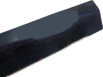 Honda 75302-SNE-A01ZK Protector, R. FR. Door *YR557P* (HABANERO RED PEARL)