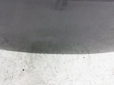 Honda 60100-TXM-A90ZZ Hood Complete (Dot)