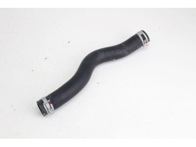 Honda 19501-5MR-A00 Hose, Water (Upper)