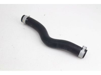 Honda 19501-5MR-A00 Hose, Water (Upper)