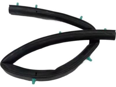 Acura 72326-S0X-A01 Weatherstrip, Front (Lower)