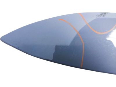 Honda 60261-T6Z-A00ZZ W-PANEL, L- FR- FENDER