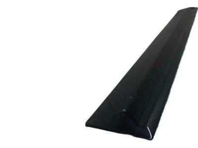 Honda 75303-SZA-A12ZK Protector, R. RR. Door *NH731P* (CRYSTAL BLACK PEARL)