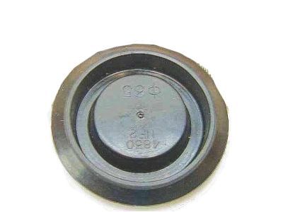 Acura 90621-SB0-003 Plug, Splash
