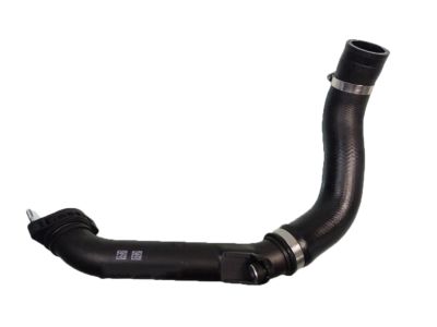 Honda 17283-5AA-A01 Hose, Intcler Inle