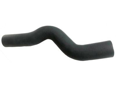 Acura 19501-R1A-A01 Hose, Water (Upper)