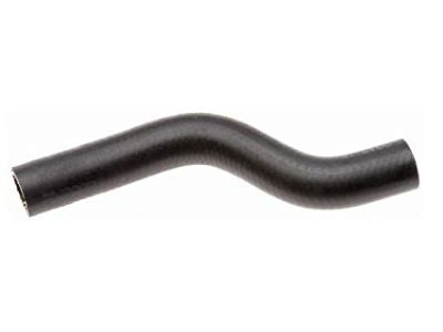 Honda 19501-RB1-000 Hose, Water (Upper)