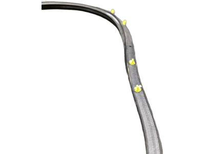 Honda 72850-TR3-A01 Weatherstrip, L. RR. Door