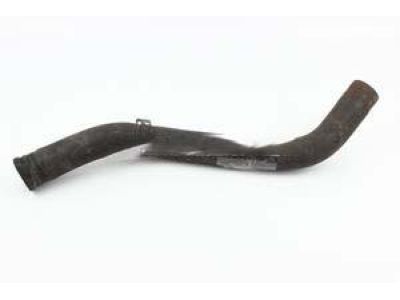 Honda 19502-6C1-A01 Hose, Water (Lower)