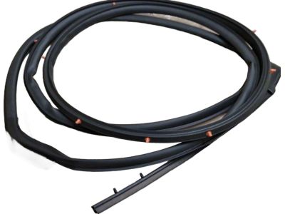 Honda 72850-TEA-T01 Weatherstrip, L. RR. Door