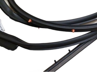 Honda 72850-TEA-T01 Weatherstrip, L. RR. Door