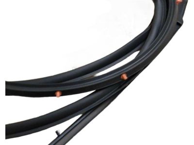 Honda 72850-TEA-T01 Weatherstrip, L. RR. Door