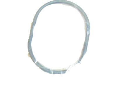 Honda 19411-5A2-A00 O-Ring, Water Pass