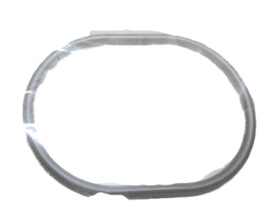 Honda 19411-5A2-A00 O-Ring, Water Pass