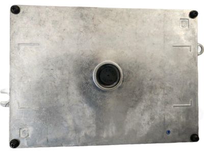 Honda 1K000-RTW-A13 Control Unit