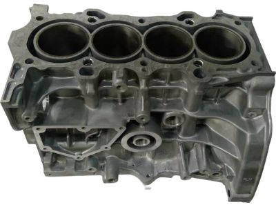 Honda 11000-PLM-810 Block Assy., Cylinder (DOT)
