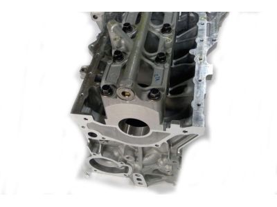 Honda 11000-PLM-810 Block Assy., Cylinder (DOT)