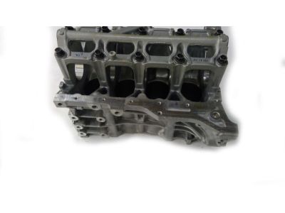 Honda 11000-PLM-810 Block Assy., Cylinder (DOT)