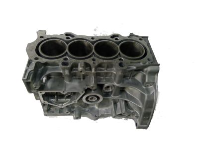 Honda 11000-PLM-810 Block Assy., Cylinder (DOT)