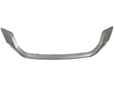 Honda 71122-T2F-A01ZB Molding, FR G*NH762X*