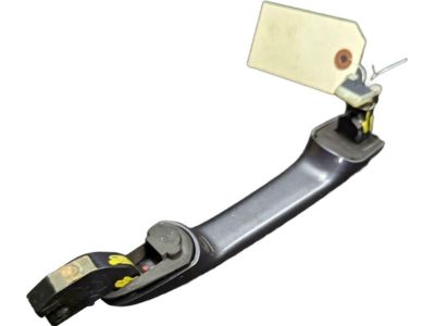Honda 72141-TR0-A11YM Handle, Passenger Side (Modern Steel Metallic)