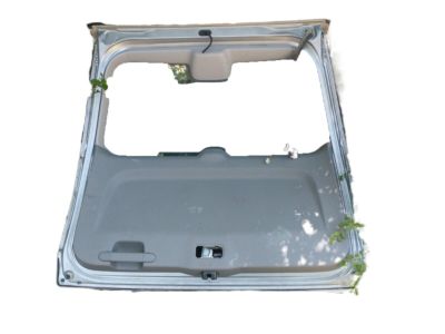 Honda 68100-SYE-A90ZZ Tailgate (DOT)