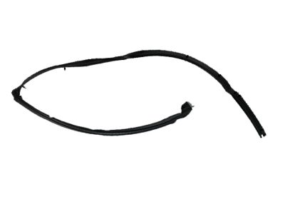 Honda 72865-T7A-003 Sub Seal, L RR Doo