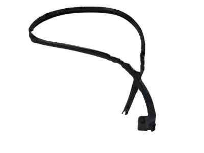 Honda 72865-T7A-003 Sub Seal, L RR Doo